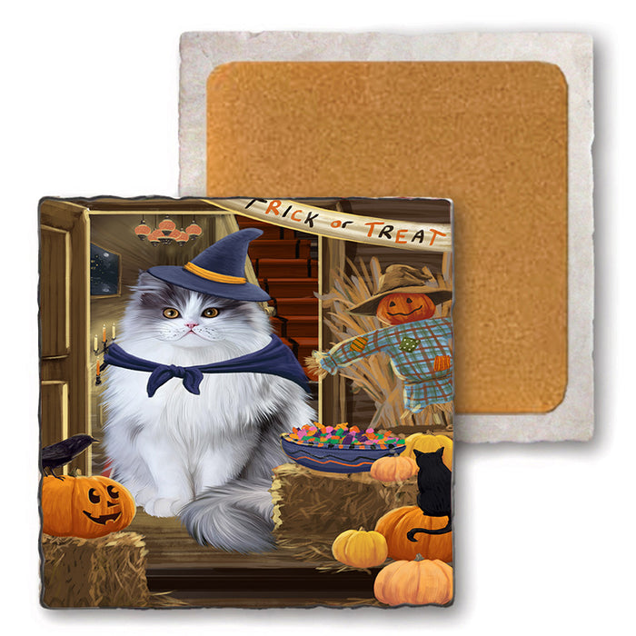 Enter at Own Risk Trick or Treat Halloween Persian Cat Set of 4 Natural Stone Marble Tile Coasters MCST48209