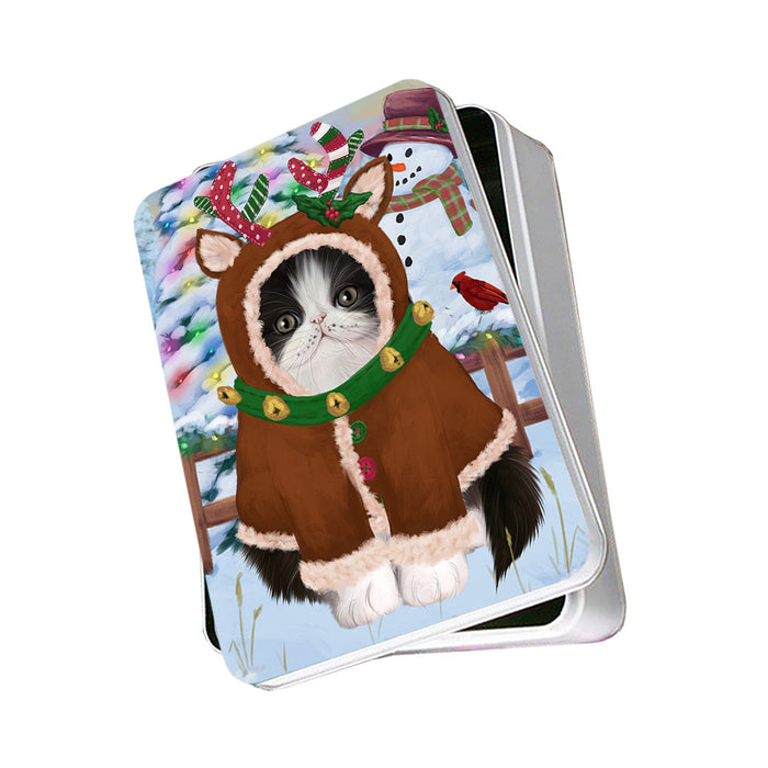Christmas Gingerbread House Candyfest Persian Cat Photo Storage Tin PITN56414