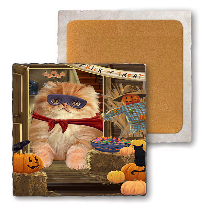 Enter at Own Risk Trick or Treat Halloween Persian Cat Set of 4 Natural Stone Marble Tile Coasters MCST48210