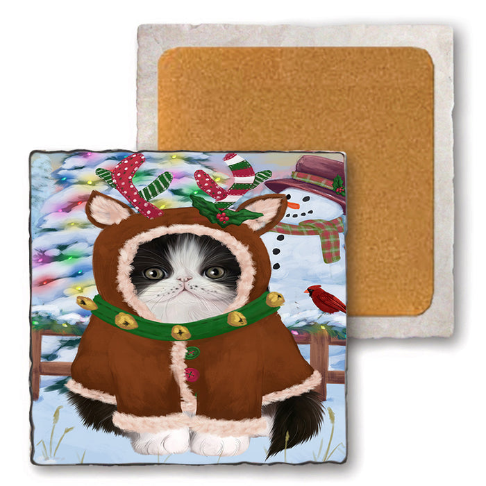 Christmas Gingerbread House Candyfest Persian Cat Set of 4 Natural Stone Marble Tile Coasters MCST51471
