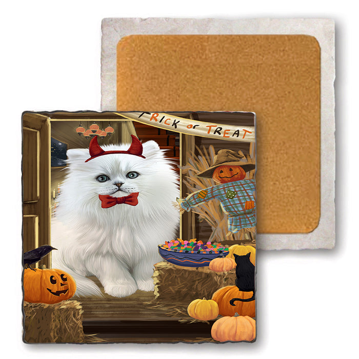 Enter at Own Risk Trick or Treat Halloween Persian Cat Set of 4 Natural Stone Marble Tile Coasters MCST48212