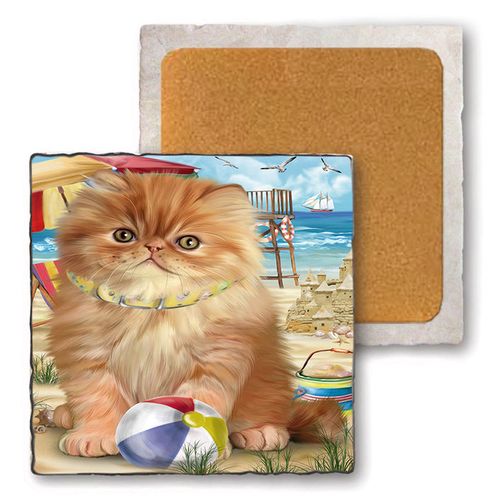 Pet Friendly Beach Persian Cat Set of 4 Natural Stone Marble Tile Coasters MCST49176