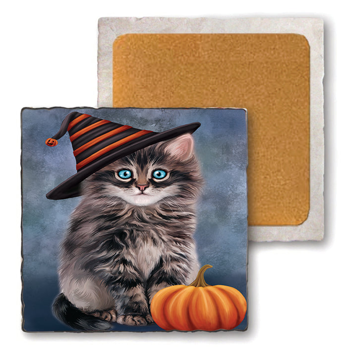 Happy Halloween Persian Cat Wearing Witch Hat with Pumpkin Set of 4 Natural Stone Marble Tile Coasters MCST49970