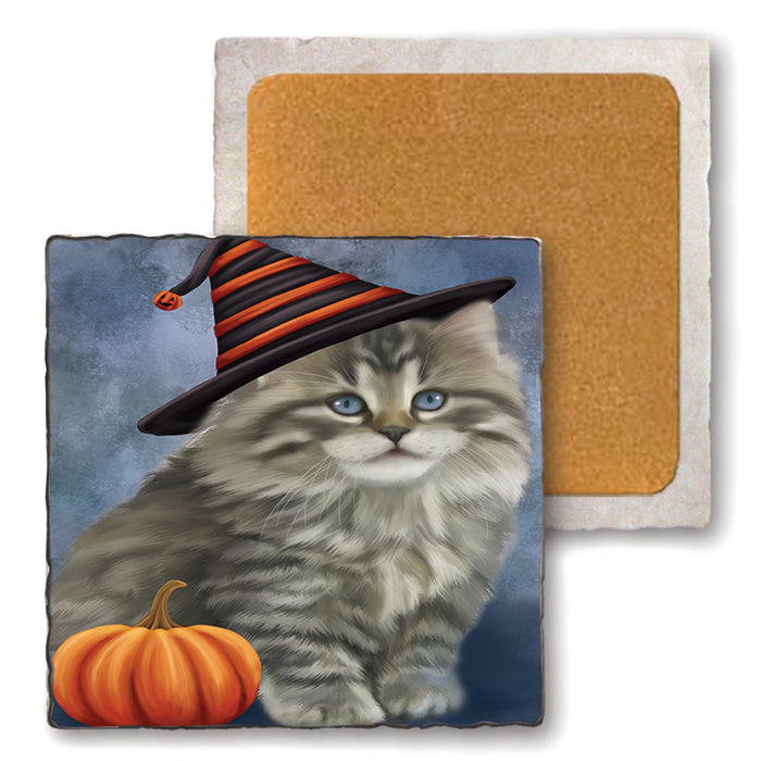 Happy Halloween Persian Cat Wearing Witch Hat with Pumpkin Set of 4 Natural Stone Marble Tile Coasters MCST49971