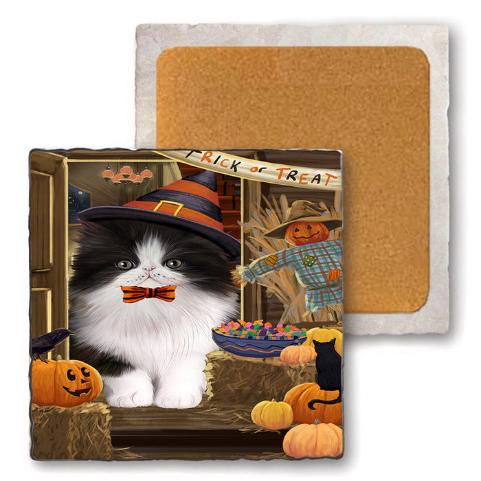 Enter at Own Risk Trick or Treat Halloween Persian Cat Set of 4 Natural Stone Marble Tile Coasters MCST48213