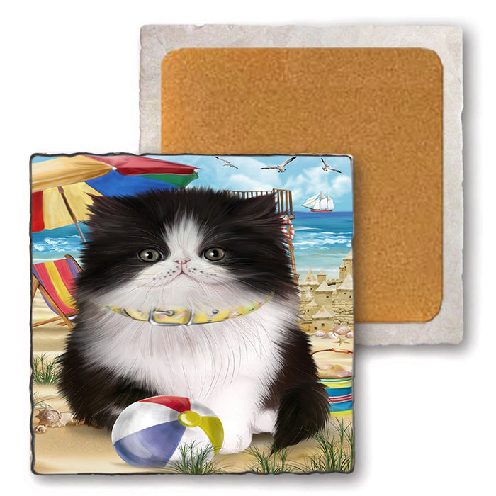 Pet Friendly Beach Persian Cat Set of 4 Natural Stone Marble Tile Coasters MCST49177