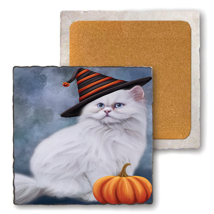 Happy Halloween Persian Cat Wearing Witch Hat with Pumpkin Set of 4 Natural Stone Marble Tile Coasters MCST49973