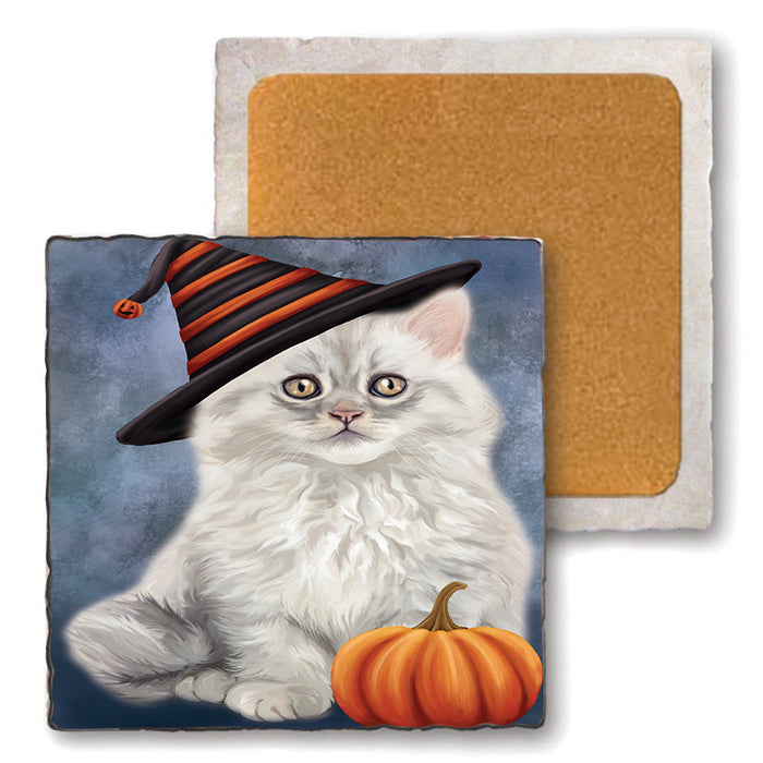 Happy Halloween Persian Cat Wearing Witch Hat with Pumpkin Set of 4 Natural Stone Marble Tile Coasters MCST49975