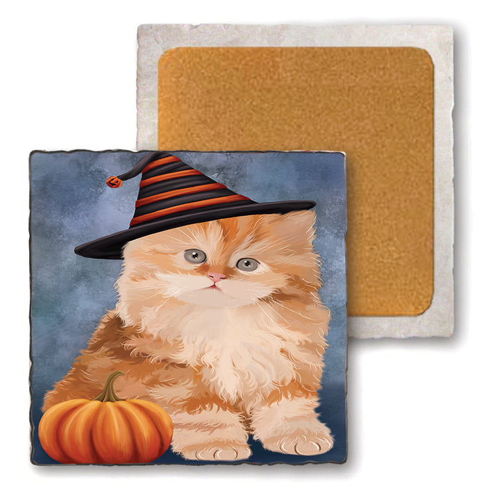 Happy Halloween Persian Cat Wearing Witch Hat with Pumpkin Set of 4 Natural Stone Marble Tile Coasters MCST49790