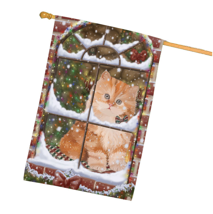 Please come Home for Christmas Persian Cat House Flag Outdoor Decorative Double Sided Pet Portrait Weather Resistant Premium Quality Animal Printed Home Decorative Flags 100% Polyester FLG68009