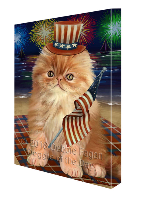 4th of July Independence Day Firework Persian Cat Canvas Wall Art CVS56226
