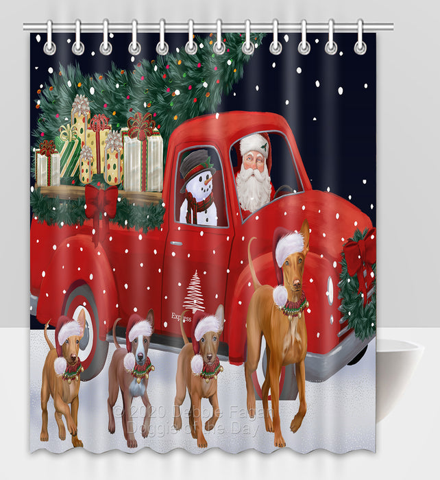 Christmas Express Delivery Red Truck Running Pharaoh Hound Dogs Shower Curtain Bathroom Accessories Decor Bath Tub Screens