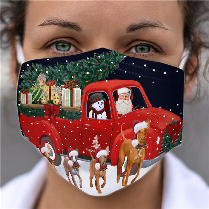 Christmas Express Delivery Red Truck Running Pharaoh Hound Dogs Face Mask FM49885