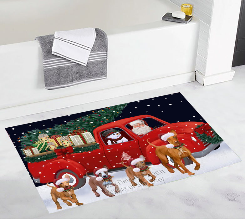 Christmas Express Delivery Red Truck Running Pharaoh Hound Dogs Bath Mat BRUG53554