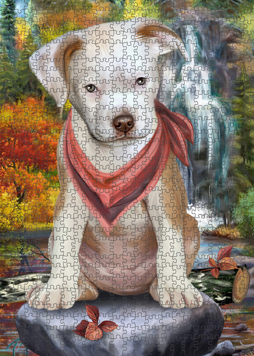 Scenic Waterfall Pit Bull Dog Puzzle with Photo Tin PUZL59856