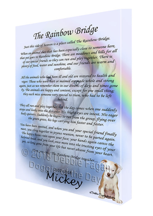 Rainbow Bridge Pit Bull Dog Canvas Print Wall Art Décor CVS123326