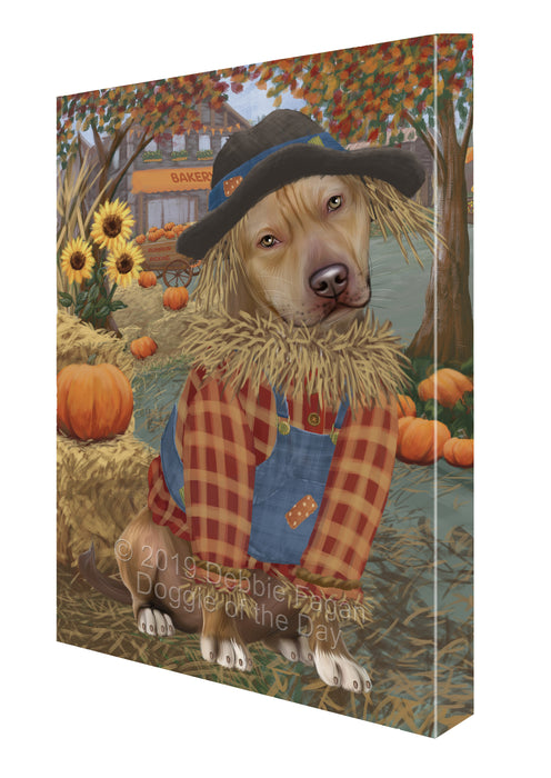 Fall Pumpkin Scarecrow Pit Bull Dogs Canvas Print Wall Art Décor CVS144413
