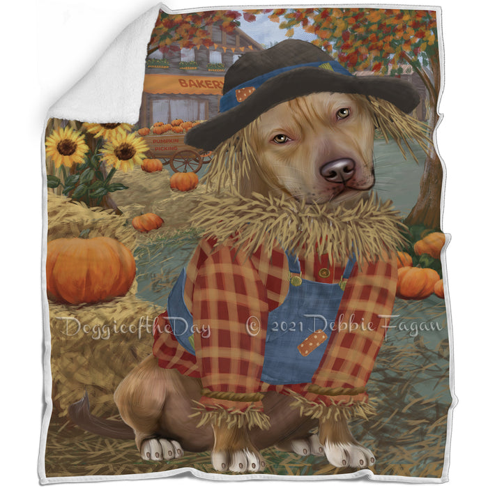 Halloween 'Round Town And Fall Pumpkin Scarecrow Both Pit Bull Dogs Blanket BLNKT143619