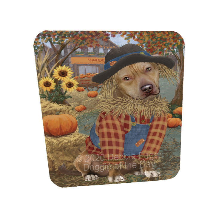 Halloween 'Round Town Pitbull Dogs Coasters Set of 4 CSTA58005