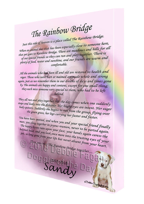 Rainbow Bridge Pit Bull Dog Canvas Print Wall Art Décor CVS123353