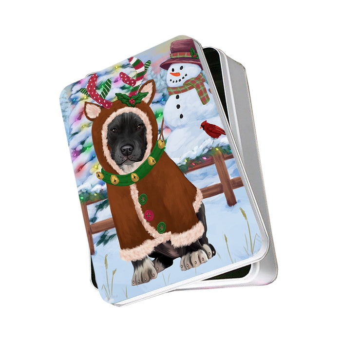 Christmas Gingerbread House Candyfest Pit Bull Dog Photo Storage Tin PITN56418