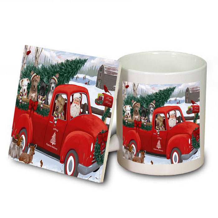 Christmas Santa Express Delivery Pit Bulls Dog Family Mug and Coaster Set MUC55046