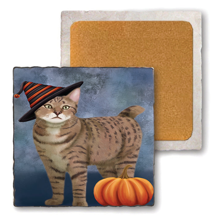 Happy Halloween Pixie Bob Wearing Witch Hat with Pumpkin Set of 4 Natural Stone Marble Tile Coasters MCST49986