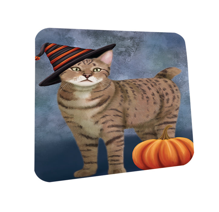 Happy Halloween Pixie Bob Wearing Witch Hat with Pumpkin Coasters Set of 4 CST54944