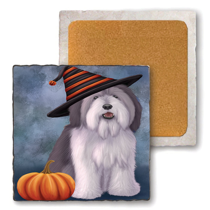 Happy Halloween Polish Lowland Sheepdog Wearing Witch Hat with Pumpkin Set of 4 Natural Stone Marble Tile Coasters MCST49987