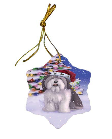 Winterland Wonderland Polish Lowland Sheepdog In Christmas Holiday Scenic Background Star Porcelain Ornament SPOR56069