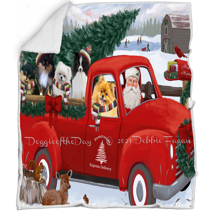 Christmas Santa Express Delivery Red Truck Pomeranians Dog Family Blanket BLNKT112863