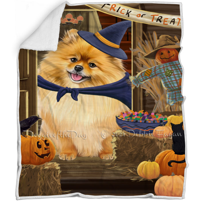 Enter at Own Risk Trick or Treat Halloween Pomeranian Dog Blanket BLNKT96312