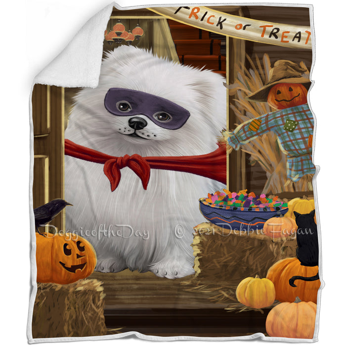 Enter at Own Risk Trick or Treat Halloween Pomeranian Dog Blanket BLNKT96321
