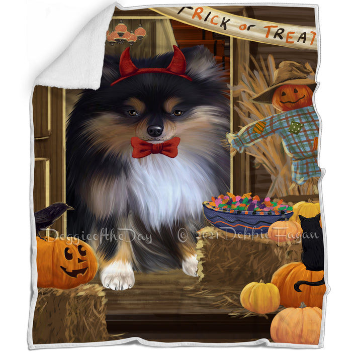 Enter at Own Risk Trick or Treat Halloween Pomeranian Dog Blanket BLNKT96339
