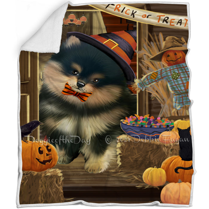 Enter at Own Risk Trick or Treat Halloween Pomeranian Dog Blanket BLNKT96348