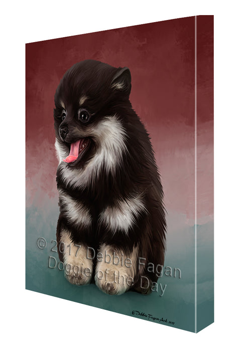 Pomeranian Spitz Dog Canvas Wall Art CVS48459