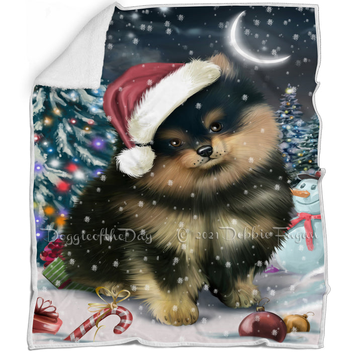 Have a Holly Jolly Christmas Pomeranians Dog in Holiday Background Blanket D202