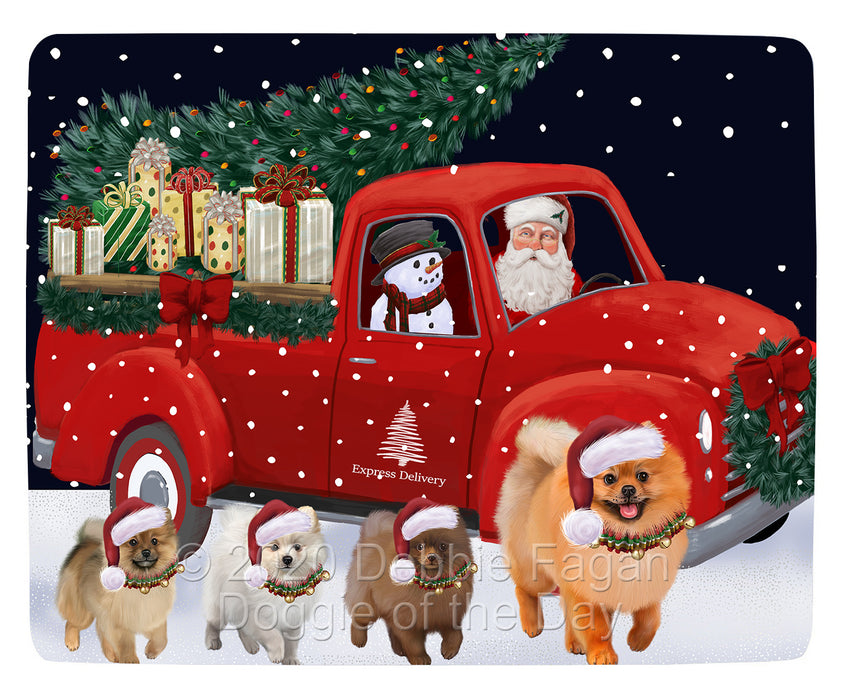 Christmas Express Delivery Red Truck Running Pomeranian Dogs Blanket BLNKT141908