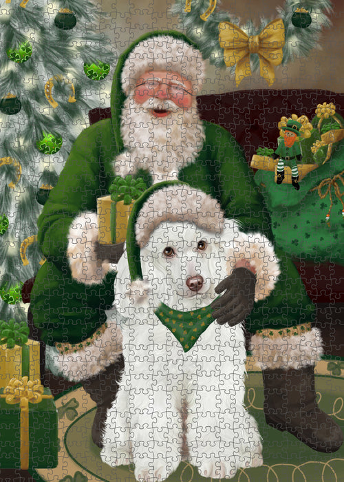 Christmas Irish Santa with Gift and Poodle Dog Puzzle with Photo Tin PUZL100516