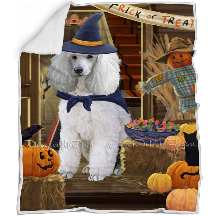 Enter at Own Risk Trick or Treat Halloween Poodle Dog Blanket BLNKT96357