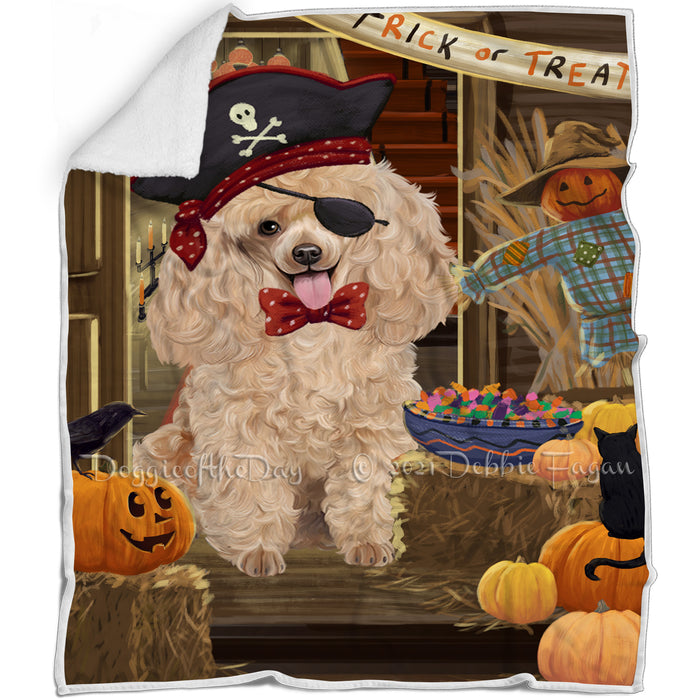 Enter at Own Risk Trick or Treat Halloween Poodle Dog Blanket BLNKT96375