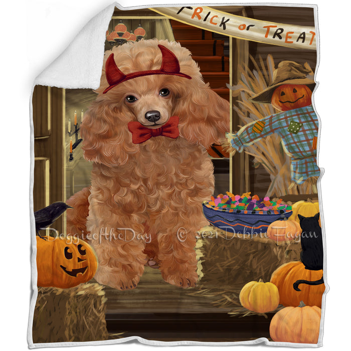 Enter at Own Risk Trick or Treat Halloween Poodle Dog Blanket BLNKT96384