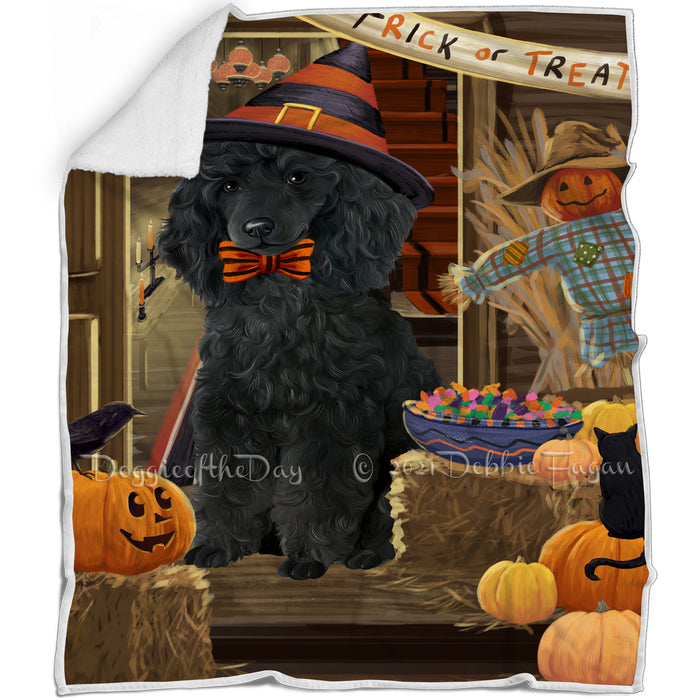 Enter at Own Risk Trick or Treat Halloween Poodle Dog Blanket BLNKT96393
