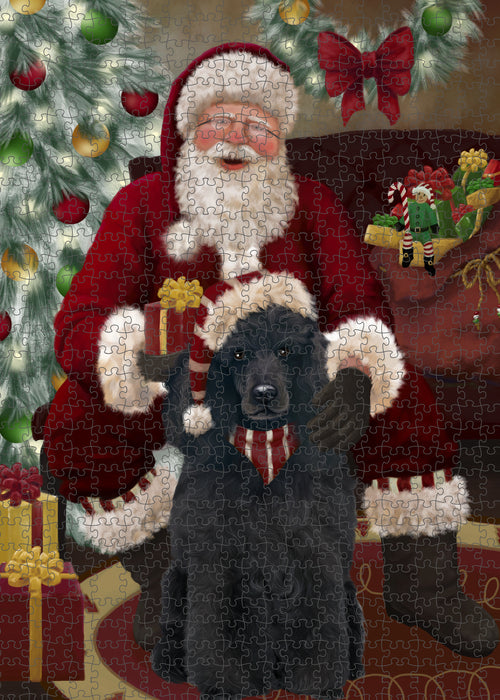 Santa's Christmas Surprise Poodle Dog Puzzle with Photo Tin PUZL100920