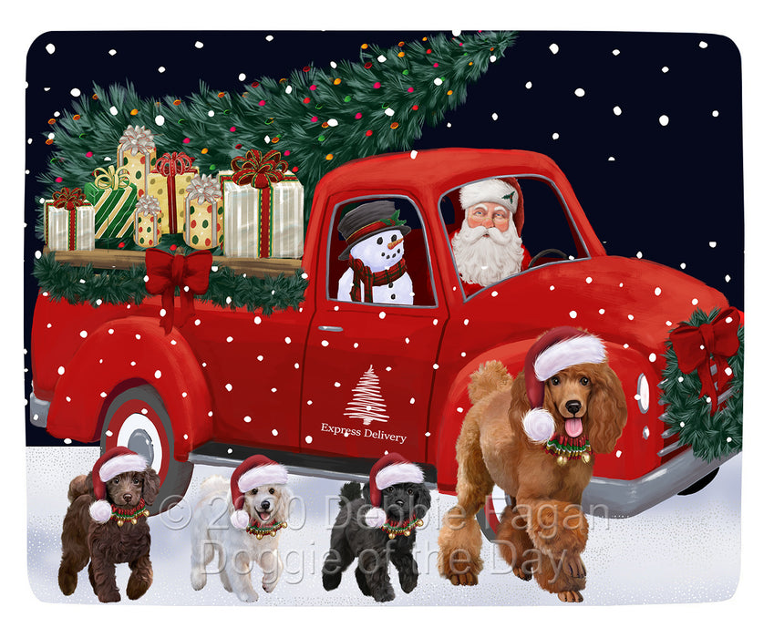 Christmas Express Delivery Red Truck Running Poodle Dogs Blanket BLNKT141913