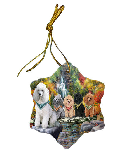 Scenic Waterfall Poodles Dog Star Porcelain Ornament SPOR49502