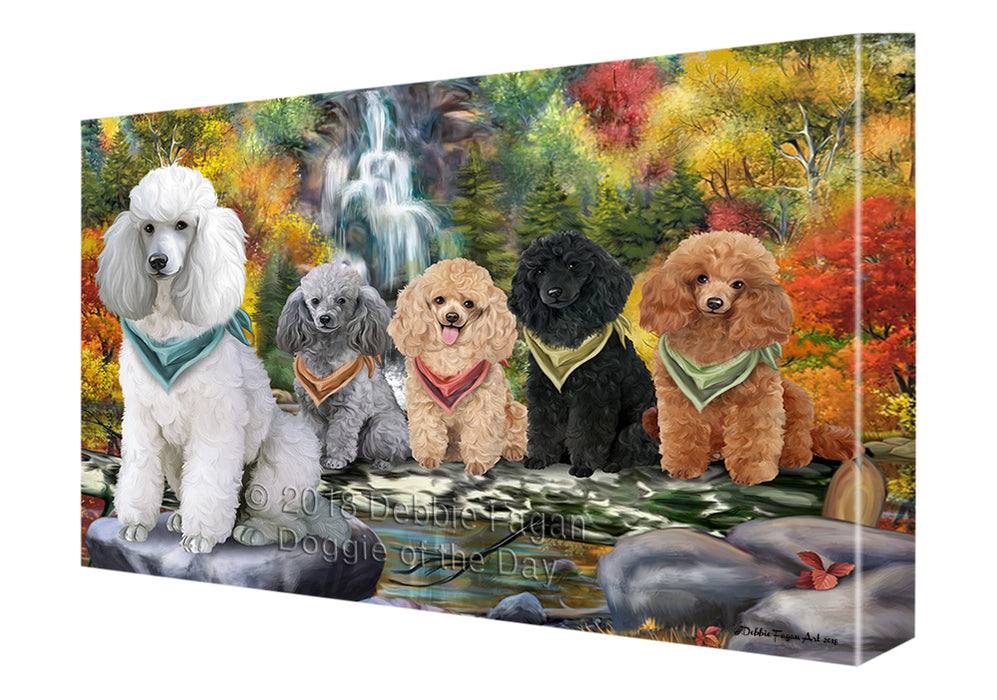 Scenic Waterfall Poodles Dog Canvas Wall Art CVS60897