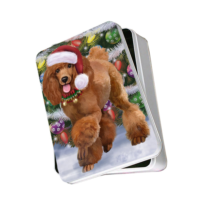 Trotting in the Snow Poodle Dog Photo Storage Tin PITN55395