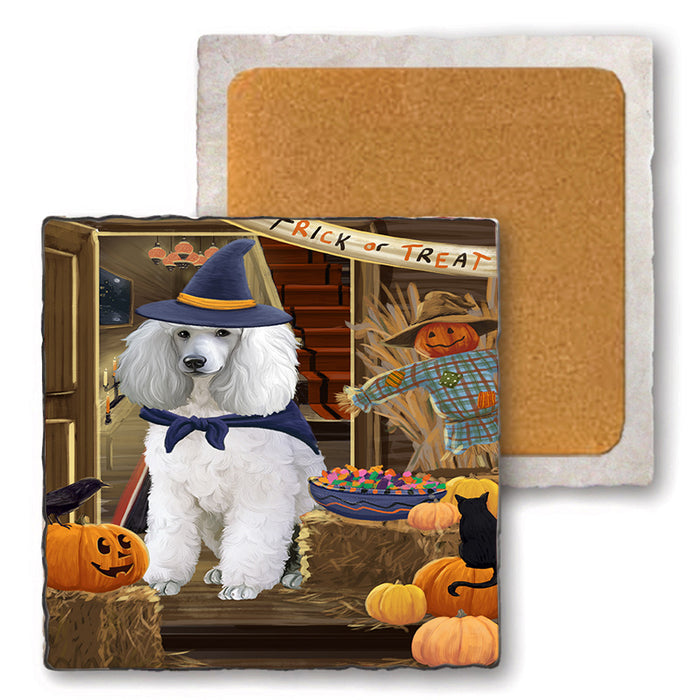 Enter at Own Risk Trick or Treat Halloween Poodle Dog Set of 4 Natural Stone Marble Tile Coasters MCST48224