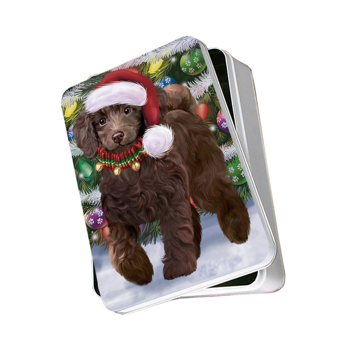 Trotting in the Snow Poodle Dog Photo Storage Tin PITN55396